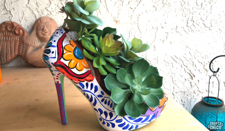 succulent shoe