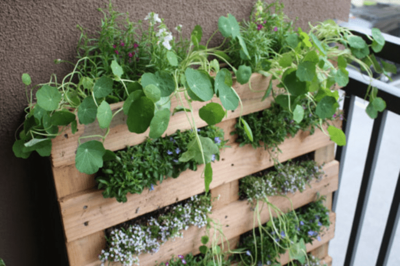 Spring Pallet garden from lifeonabalcony on craftychica.com