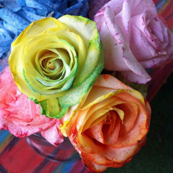 Tie-dye Roses Tutorial by Kathy Cano-Murillo, CraftyChica.com