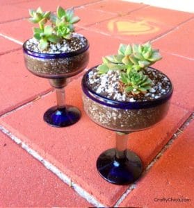 Cactus gardens made from Margarita glasses, CraftyChica.com