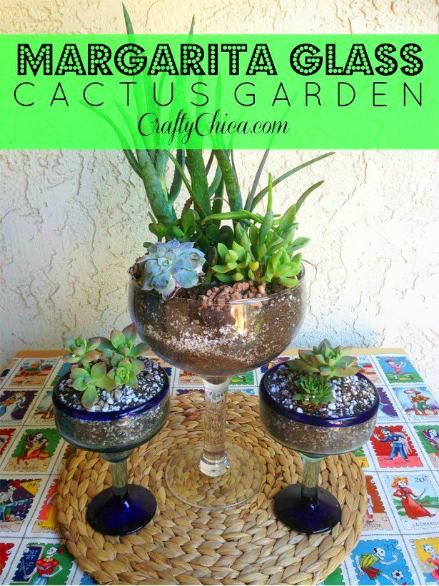 margarita-glass-cactus-garden