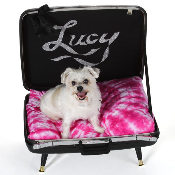 diy-suitcase-dog-bed