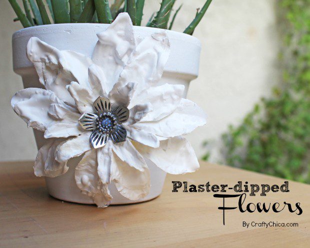 plaster flower on planter