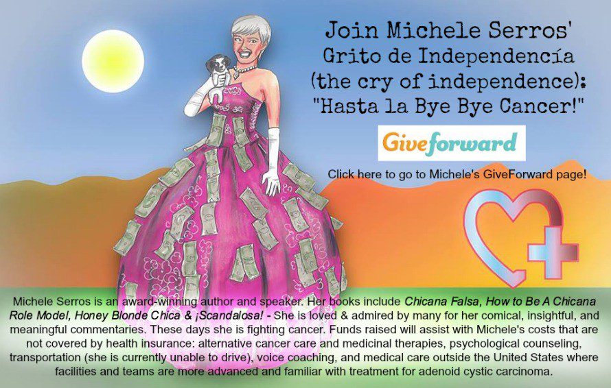 Click here to see Michele's fundraiser page!