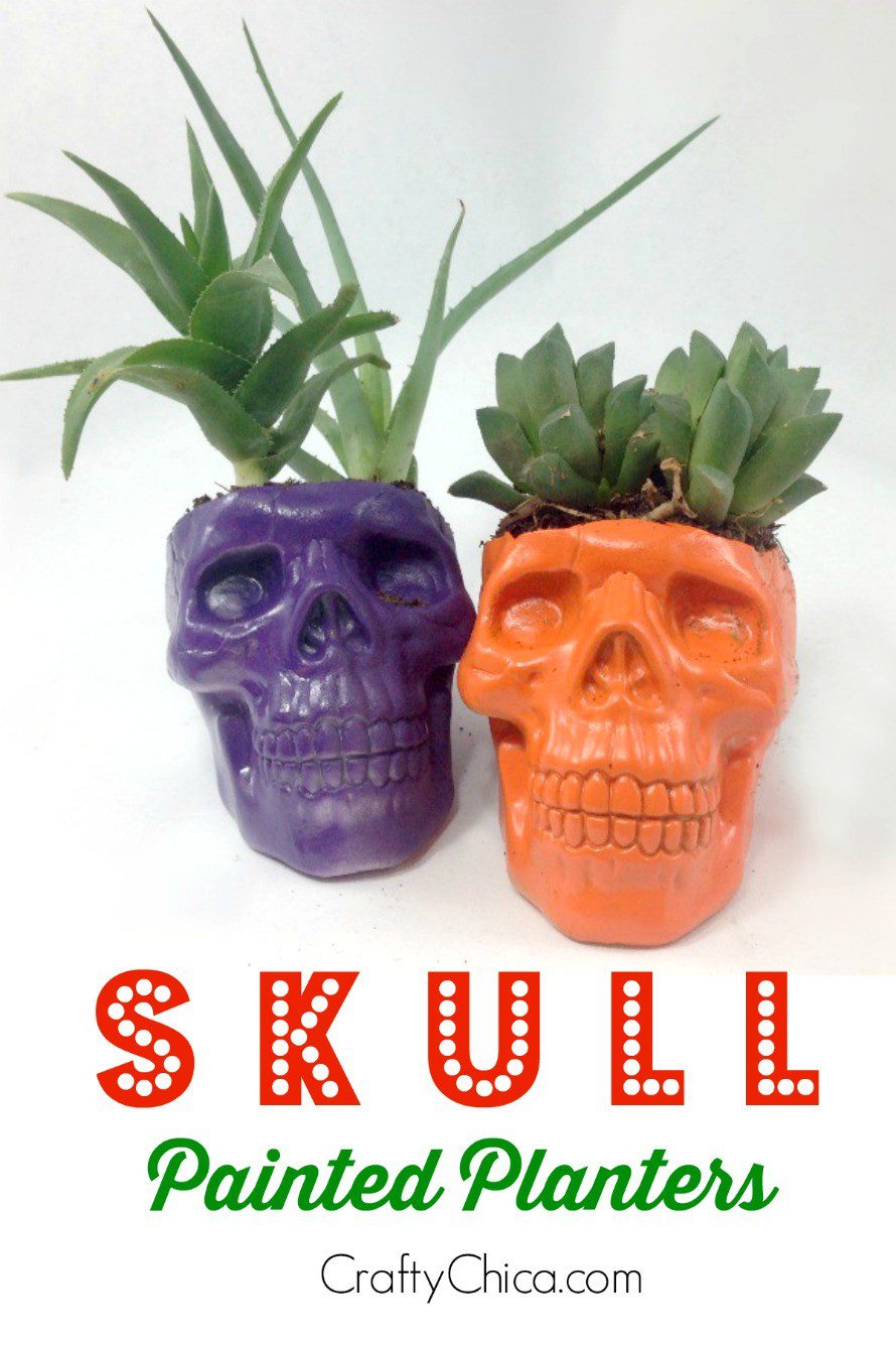 DIY Skull Planters by CraftyChica.com