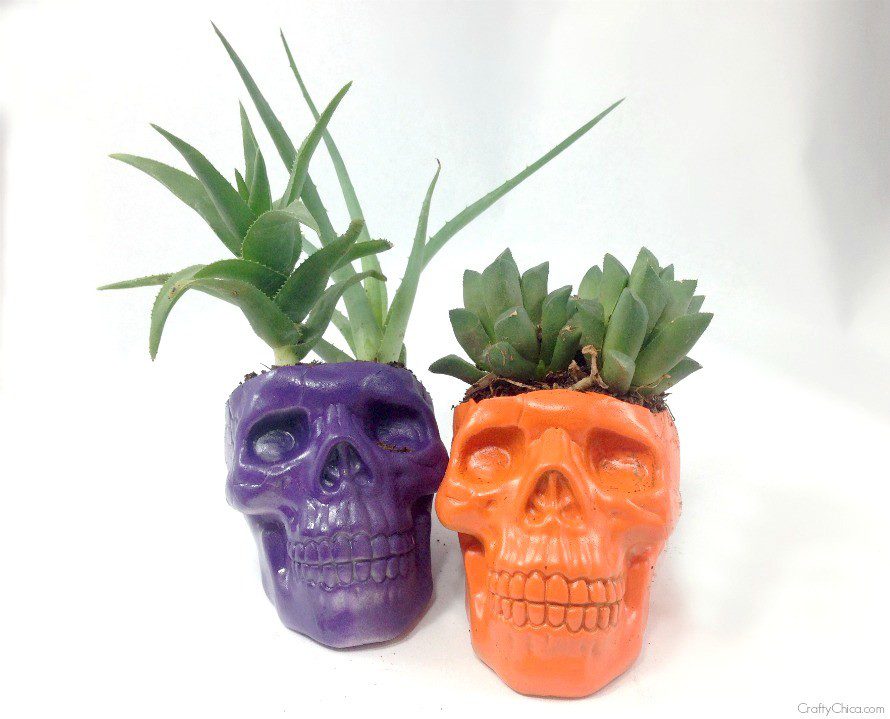 skull planters