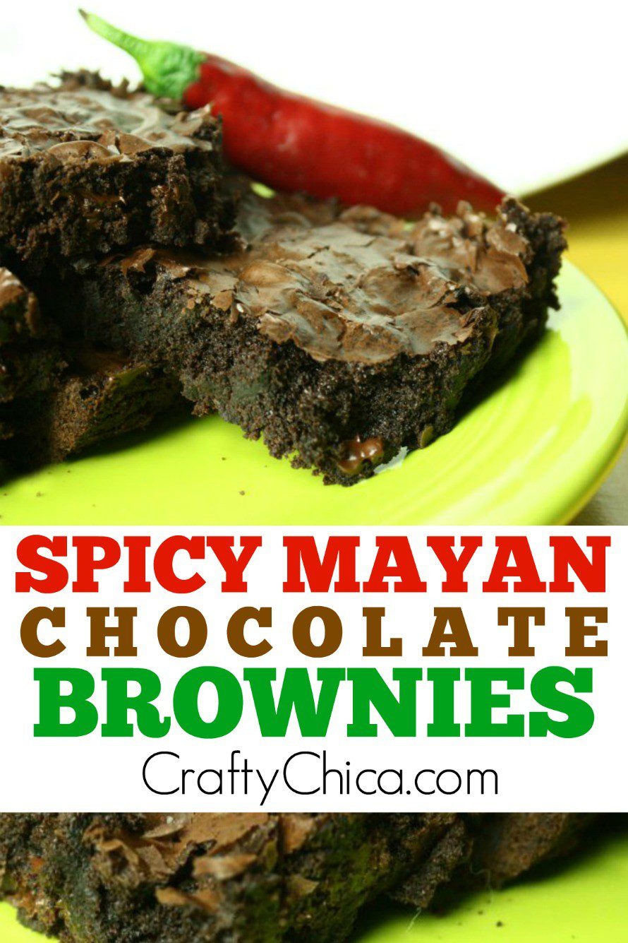 Spicy Mayan Brownies by CraftyChica.com.