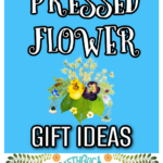 Pressed flower crafts