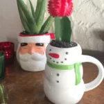 cactus in a coffee cup